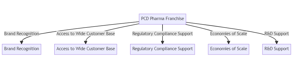 Infographic explaining the pharma franchise business model.