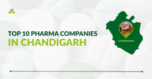 Top 10 pharma companies in Chandigarh featured image.